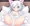 シロちゃん