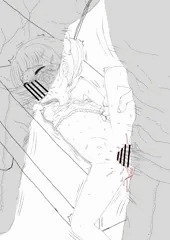 ロリ