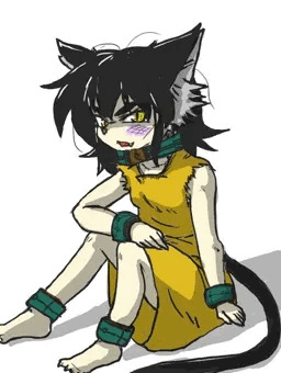 劇的！ビフォーアフター！～二人の匠編～