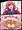 うーちゃんぷー