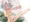 コッコロ１６