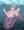 人魚と小魚の戯れ？