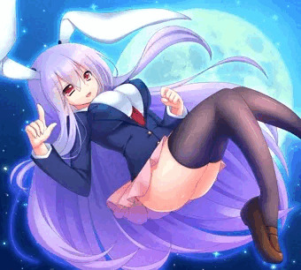 どどんげ