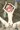 オークに犯されるエルフ娘