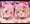 【笹木咲】メスねこオナホ公開パーティ❤️【本間ひまわり】
