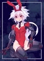 うちのこばに
