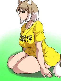 爆☆弾アライさんかと思いました？