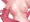 オリジナルモン娘(完成未定)