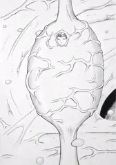 肉繭セーラー戦士