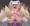 ranしゃま