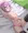 まつば