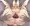 えっくすまとめたの