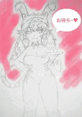 タイガー&バニーガール