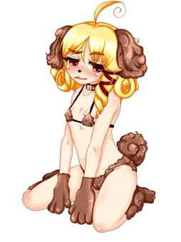 犬コス