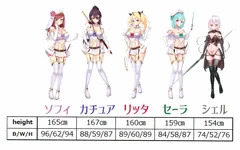 【エロRPG】ヒロインたちのスリーサイズとかプロフィールとか