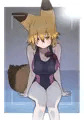 キタキツネ