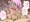 パイズリギャル