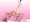 本番