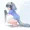 こっちを見てはダメなのだ！？