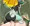 ミドナ騎乗