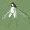 虫系人外ラクガキ