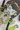 新人オペレーターの初奉仕