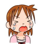 南