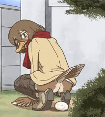 カモネ野卵