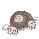 見習い