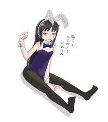 バニーの日だった