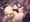 Skeb20230731
