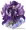 【花騎士】ラベンダー(闇の魔女)