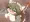 にゃー③