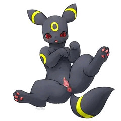 ブラッキー