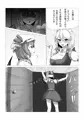 レミリア様とフランちゃんの壁尻本