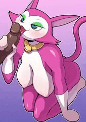 ノラミャーコ