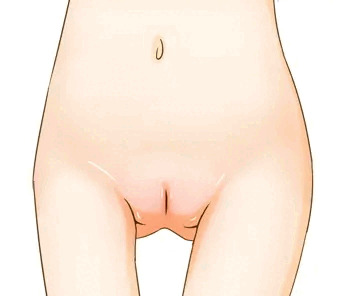 チノちゃんのおなか