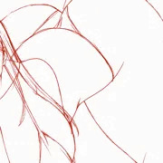 【ラフ】騎娘