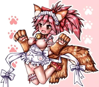 タマモキャットちゃん