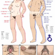 【旧作】保健の教科書風( ﾟДﾟ)
