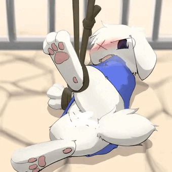 スー
