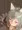 ふぇらセンちゃん