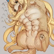 いぬ