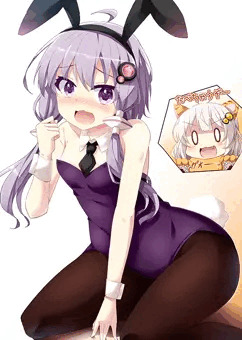 寅あかりに狙われたゆかりさん