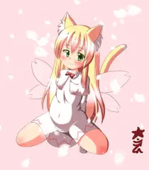 猫リリー