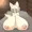 超よそのこ