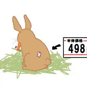 今日のペットショップ