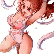 公式ガイドブックの