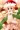 マイクロビキニサンタめゆー