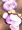 The Hare of Inaba